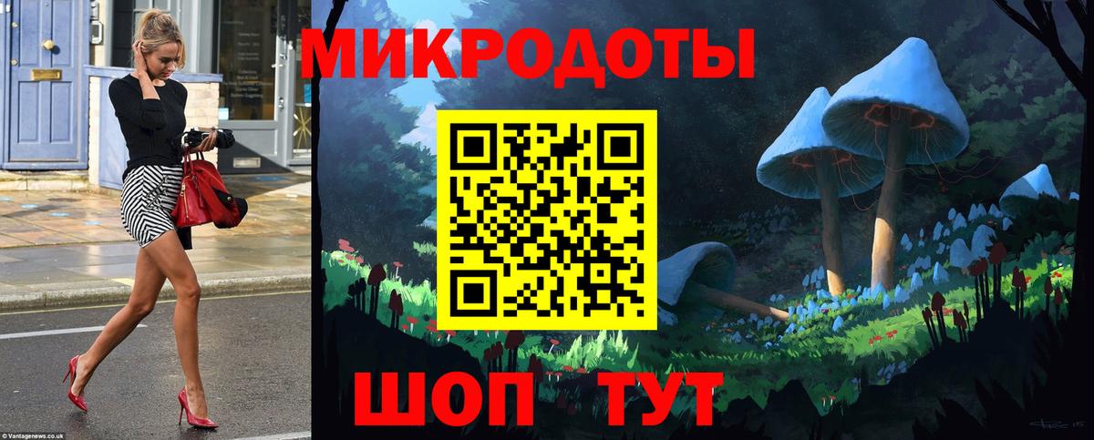 Тверь  Галлюциногенные грибы Cubensis  Вход с VPN 